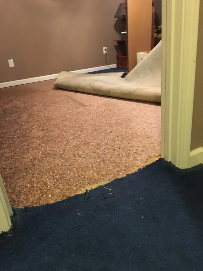 Carpet pad removal revealing water damage during Drying & Dehumidification in Sellersburg