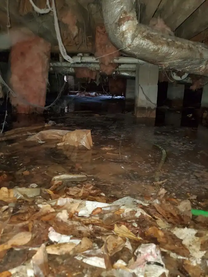 Crawl space flood assessment for Leak Detection & Repair in Sellersburg
