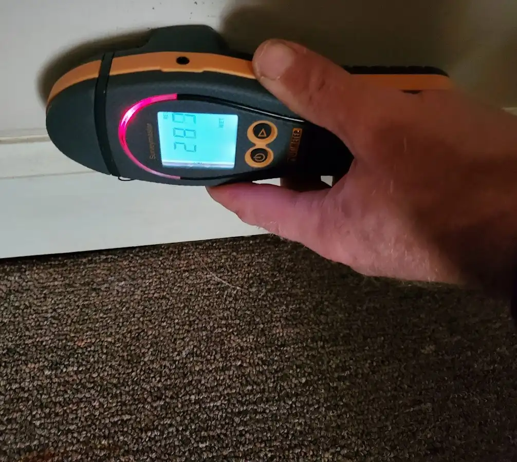 Moisture detection at baseboard during Sewage Cleanup & Sanitation in Sellersburg